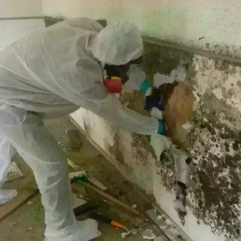 Mold Remediation and Removal in Arapaho, OK