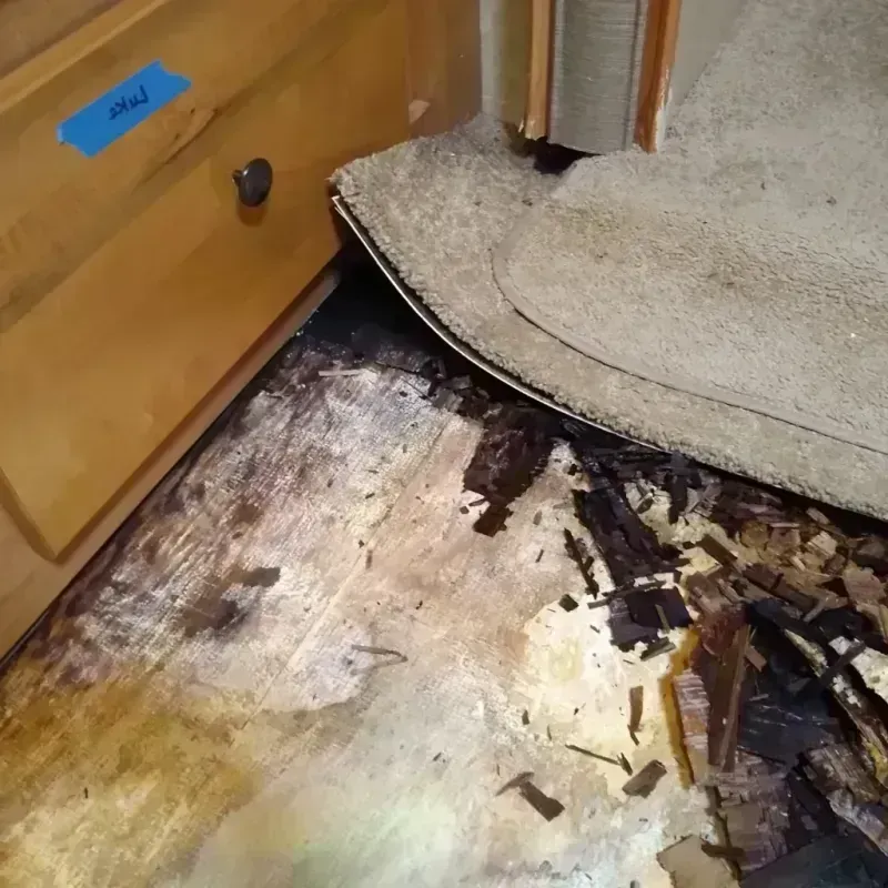 Wood Floor Water Damage in Arapaho, OK